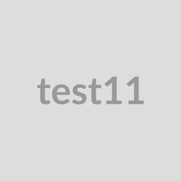 test11