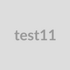 test11