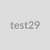 test29