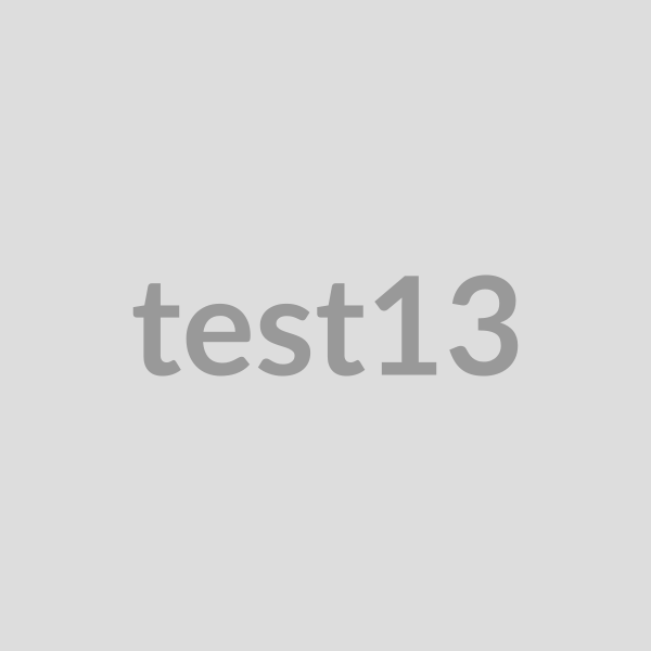 test13